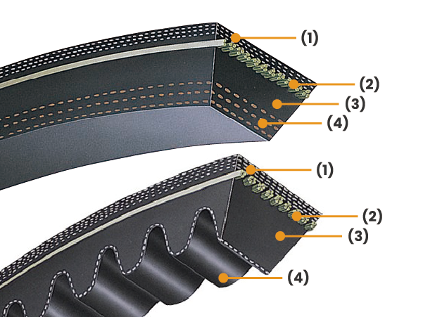 Low edge wide angle belt (multi-ply, cog)