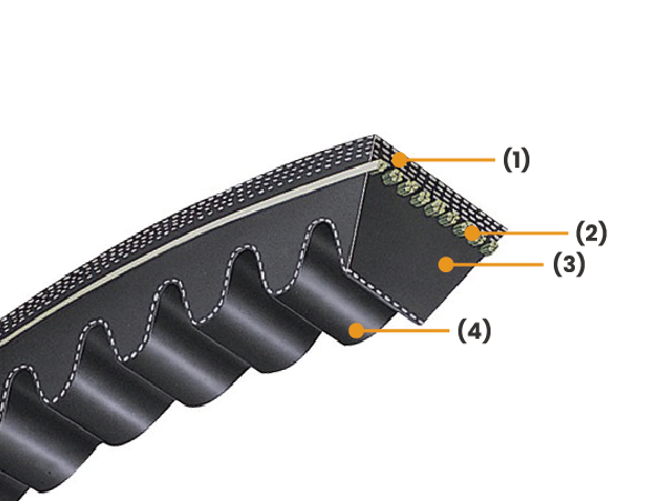 Raw Edge Cogged V-belts
