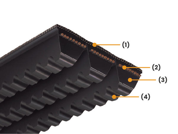 Banded Raw Edge V-belts