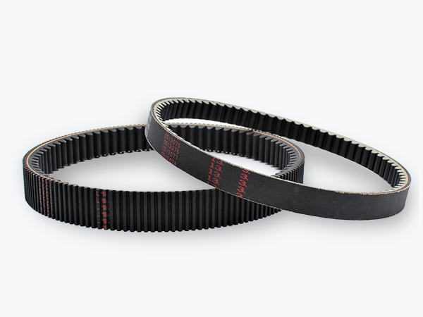 Variable Speed Belts (RCVS/DCVS)