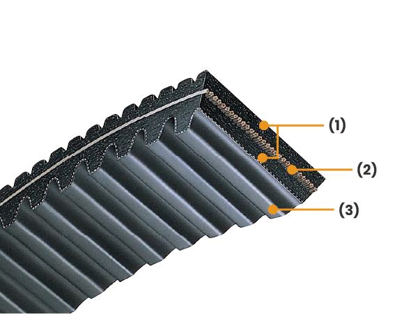 DCVS (Double Cog Variable Speed V-belt)