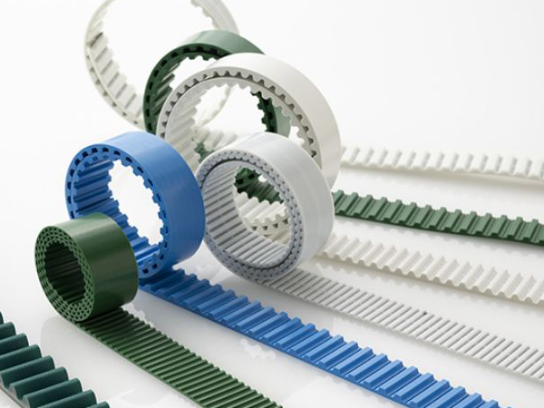 FREESPAN Belt