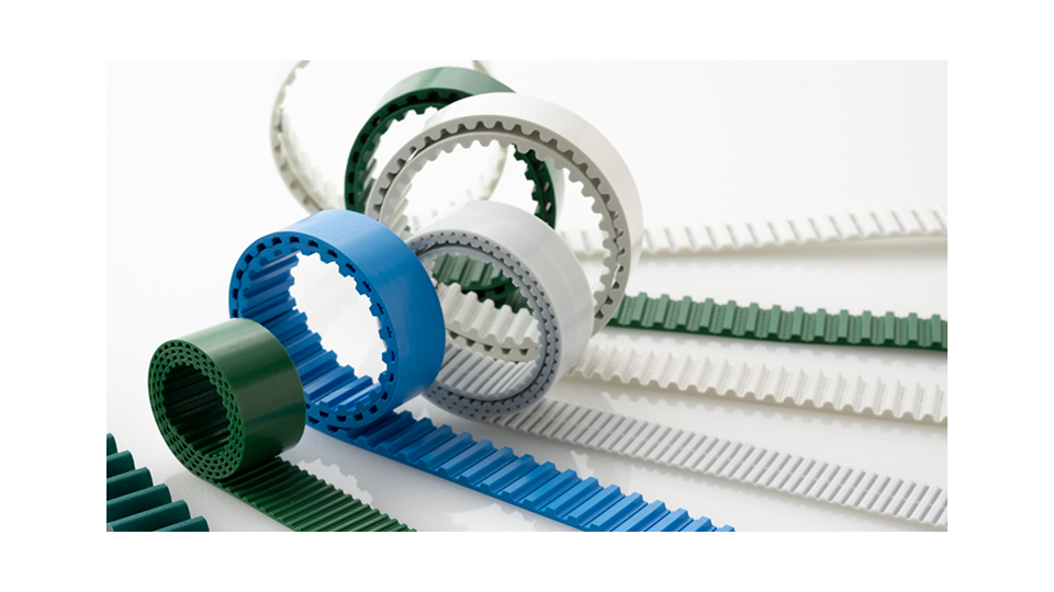 FREESPAN Belt
