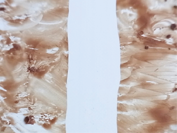 Chocolate wiping test (Mirror Surface)