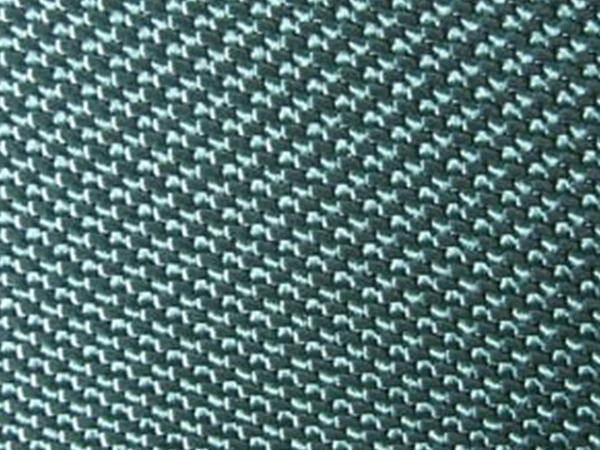 Enlarged photo of the belt surface