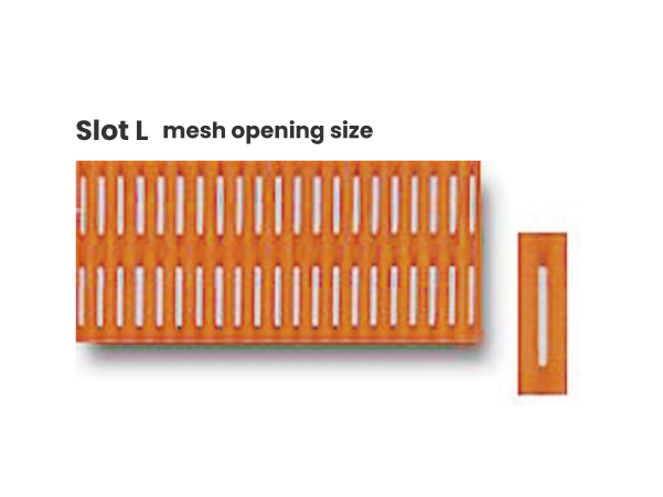 Slot L