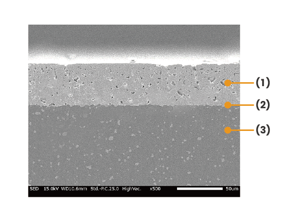 Cross-section SEM image