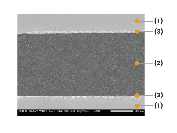 Cross-sectional SEM image