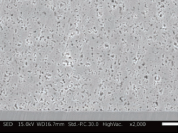 Cross-section: Pressure bonding