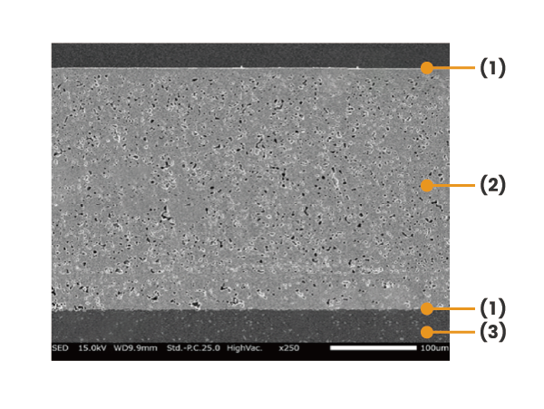 Cross-sectional SEM image