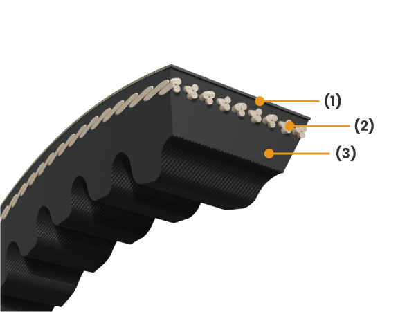 Orange Label Cogged V-belts
