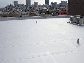 Waterproofing Materials for Construction and Related Products